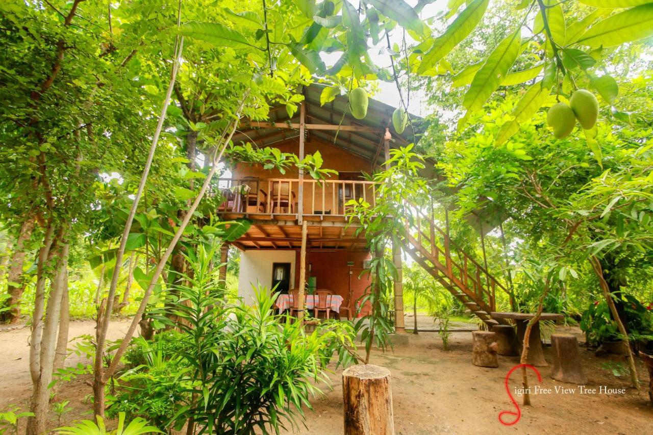 Sigiriya Free View Tree House & Villa Екстериор снимка