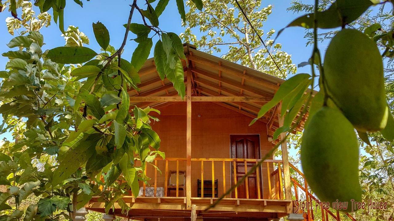 Sigiriya Free View Tree House & Villa Екстериор снимка