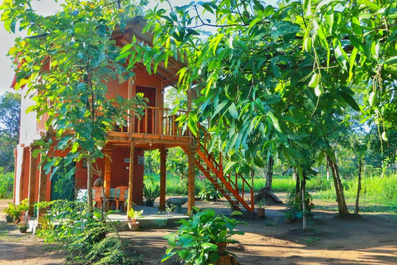 Sigiriya Free View Tree House & Villa Екстериор снимка