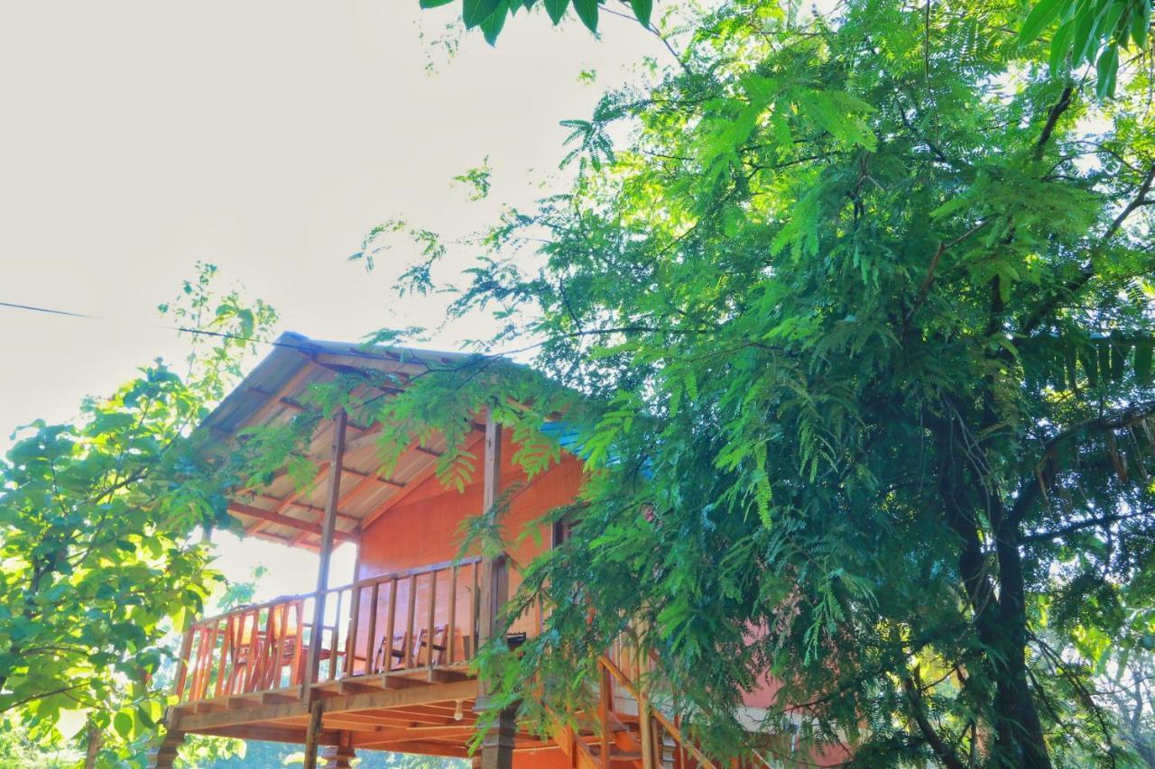 Sigiriya Free View Tree House & Villa Екстериор снимка